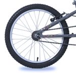 Bicicleta-Joy-Aro-20-Free-Action