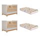 Quarto bebê gêmeos com 2 Berços Mini Cama Liza com 2 Colchões Gazin