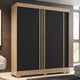 Guarda Roupa Solteiro Flex 2 Portas de Correr B353 Henn