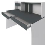 Escrivaninha-2-Gavetas-France-Artany