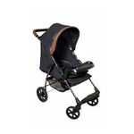 Carrinho-de-Bebe-Romano-Galzerano